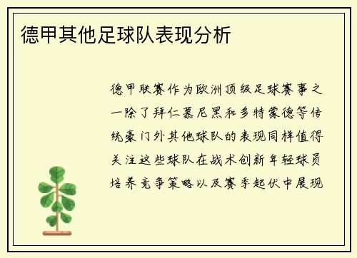 德甲其他足球队表现分析